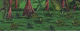 rainforest_layer4